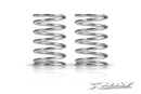 XRAY PROGRESSIVE SPRING-SET C=4.0-5.6 - FRONT (2)