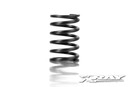 XRAY SPRING-SET C=5.6 - REAR (2)